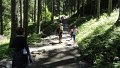 DSC03484 00